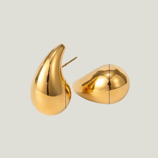 Bottega Earrings