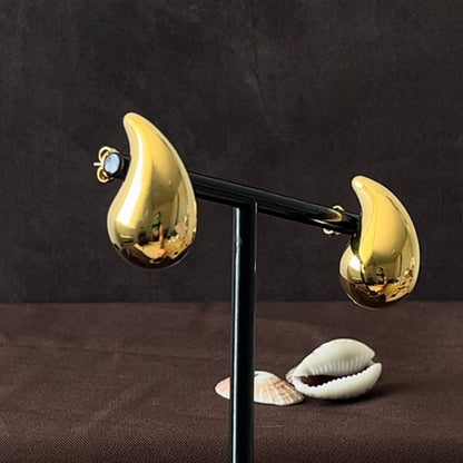 Bottega Earrings
